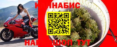 сатива Чапаевск