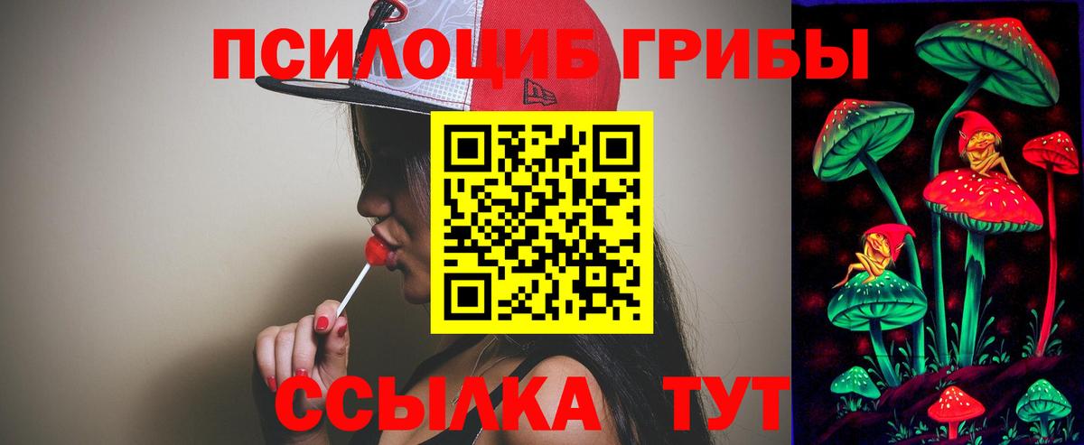 Псилоцибиновые грибы Magic Shrooms Шадринск