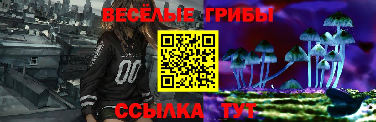 Шадринск  Псилоцибиновые грибы ЛСД  Вход с VPN 