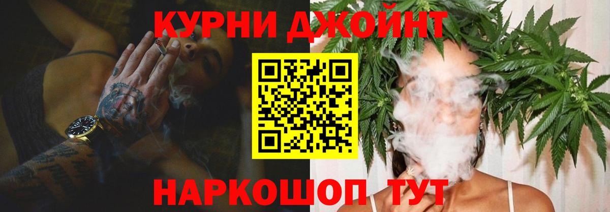 Конопля Шадринск